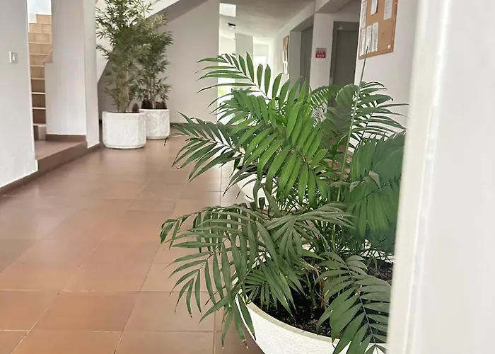 Apartment Panoramic Sea View Los Cristianos (Tenerife)